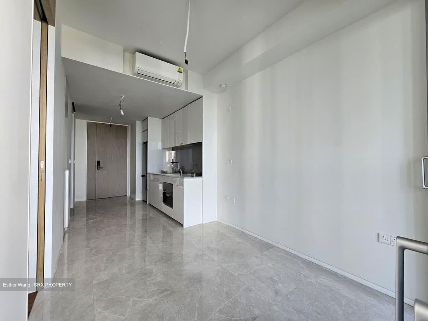 Amber Park (D15), Condominium #607943261